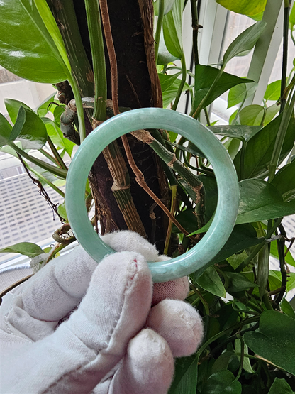 Earth's Burmese A-Jade Bangle Bracelet 08809