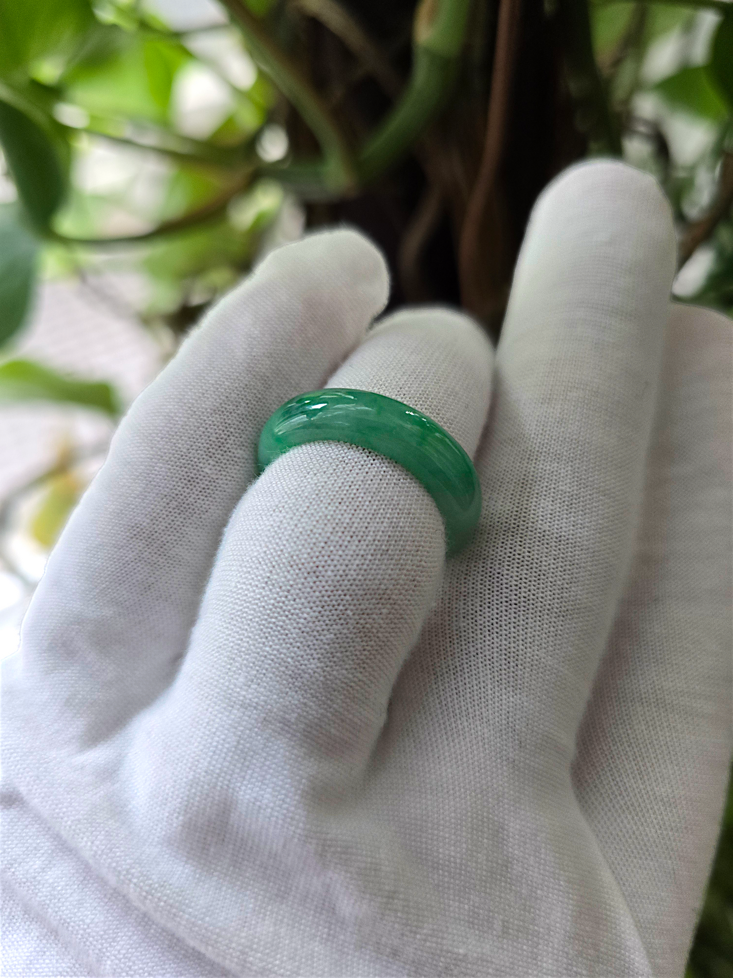 Master's Burmese A-Jadeite Infinity Band Ring 09004- Certified