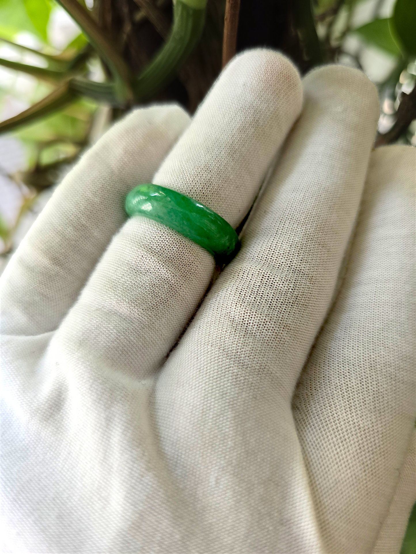 Master's Burmese A-Jadeite Infinity Band Ring 09005- Certified