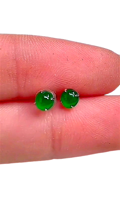 Vert Imperial Green Burmese A-Jade Stud Earrings (with 18K White Gold) - Certified