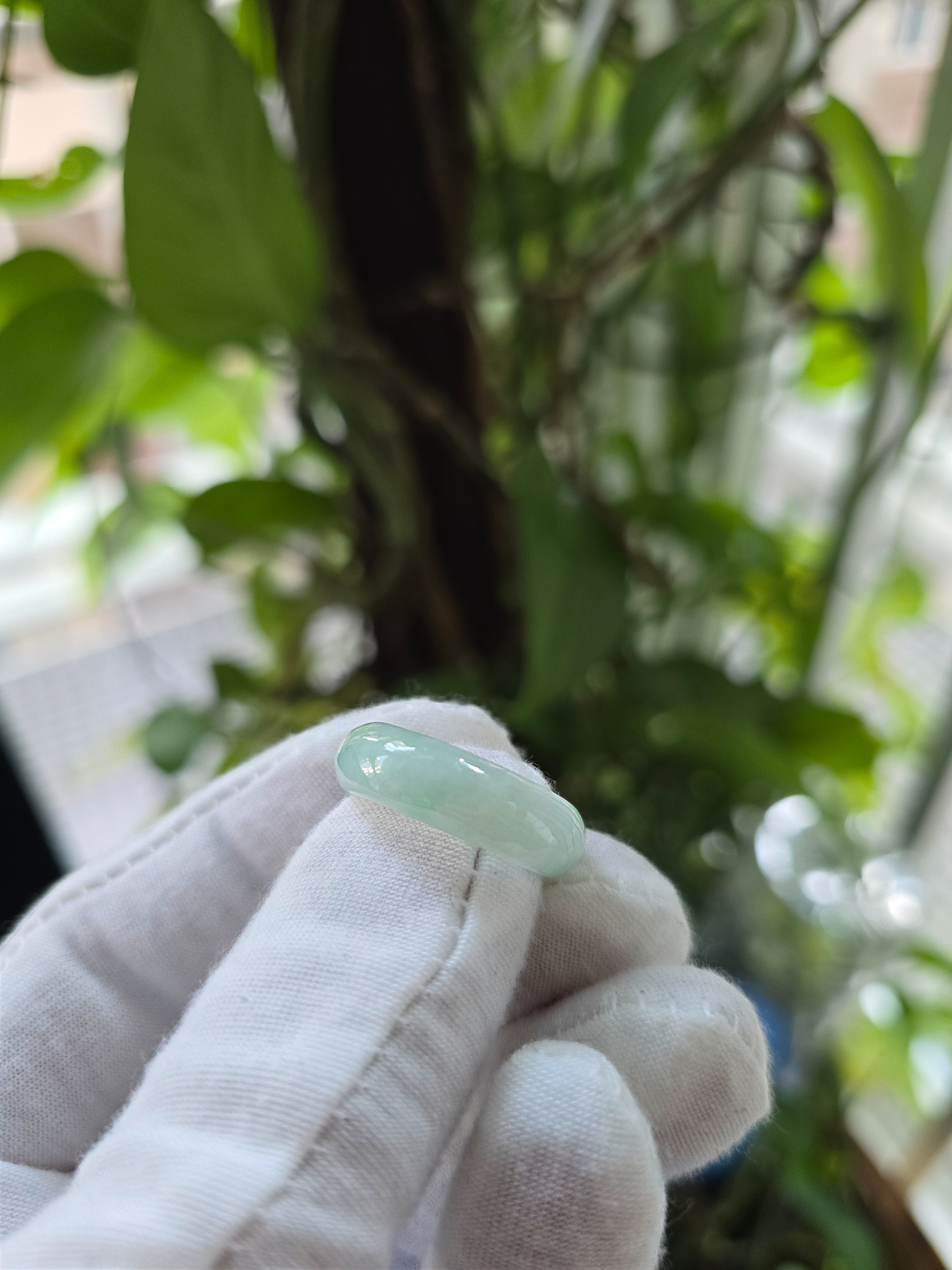 Bright Green Burmese A-Jade Statement Band Ring