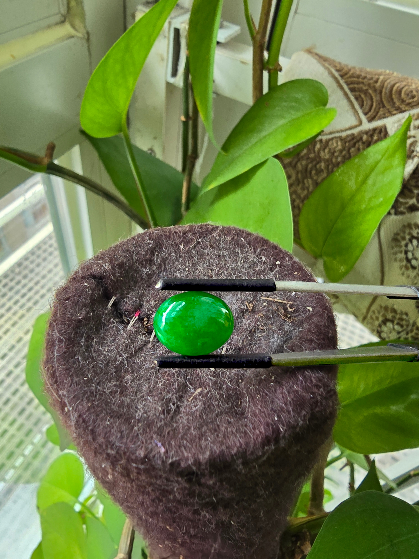 Certified MADE IN JAPAN 4.803 cts. Intense Green Burmese A-Jadeite Oval Cabochon Loose Stone LS7