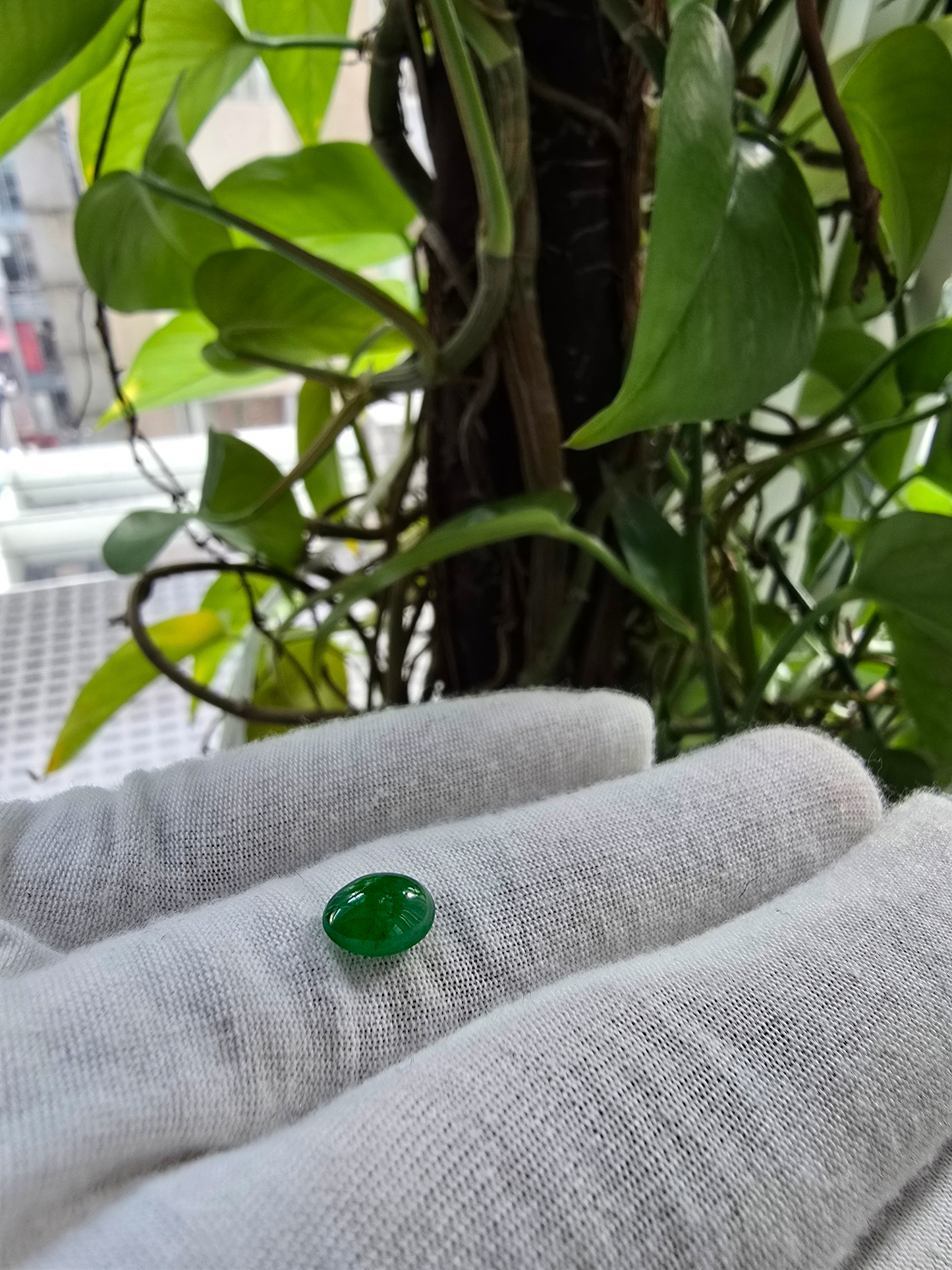 Certified MADE IN JAPAN 1.948 cts. Intense-Vivid Imperial Green Burmese A-Jadeite Oval Cabochon Loose Stone LS8