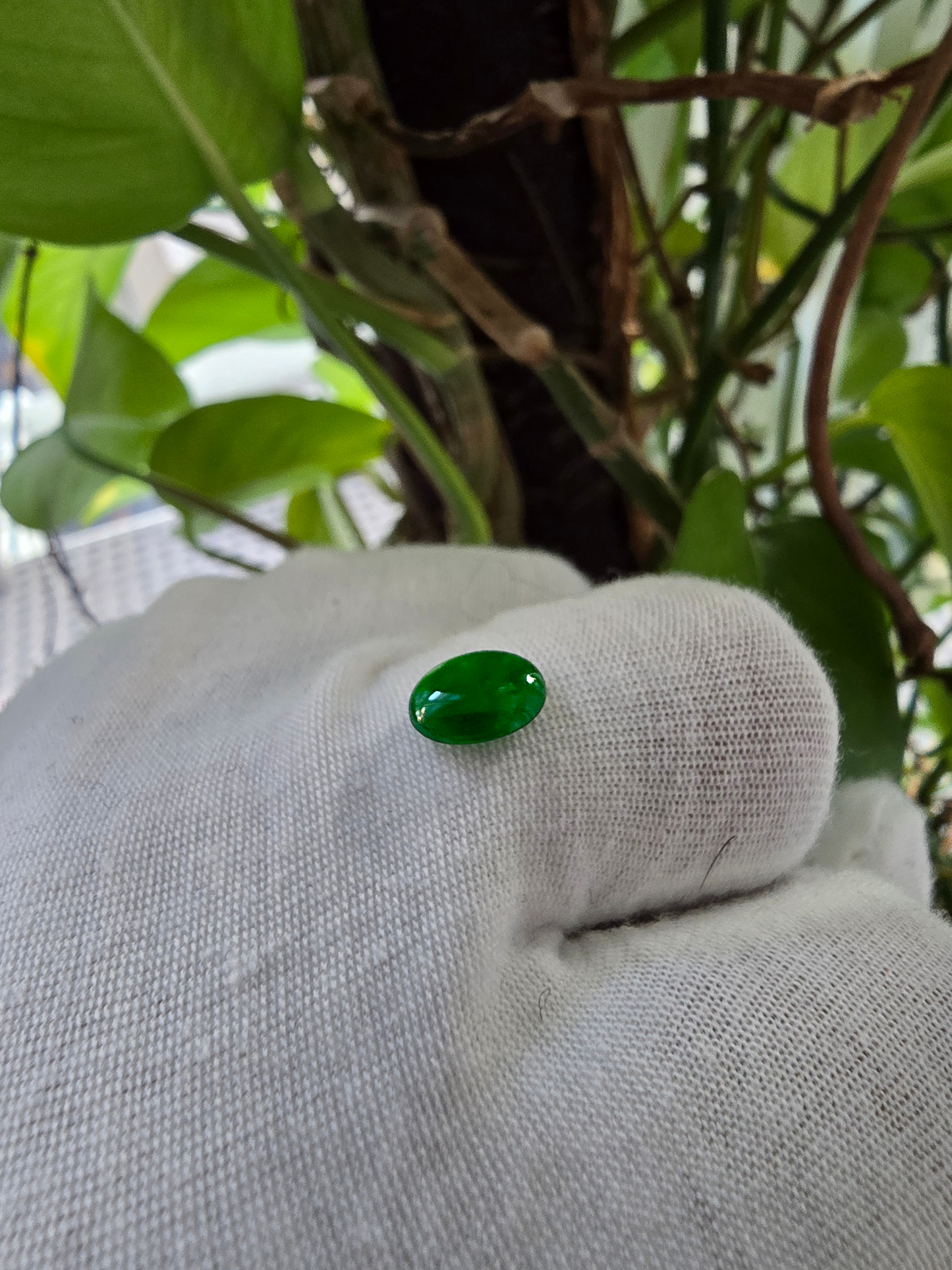 Certified MADE IN JAPAN 1.727 cts. Intense-Vivid Imperial Green Burmese A-Jadeite Oval Cabochon Loose Stone LS9