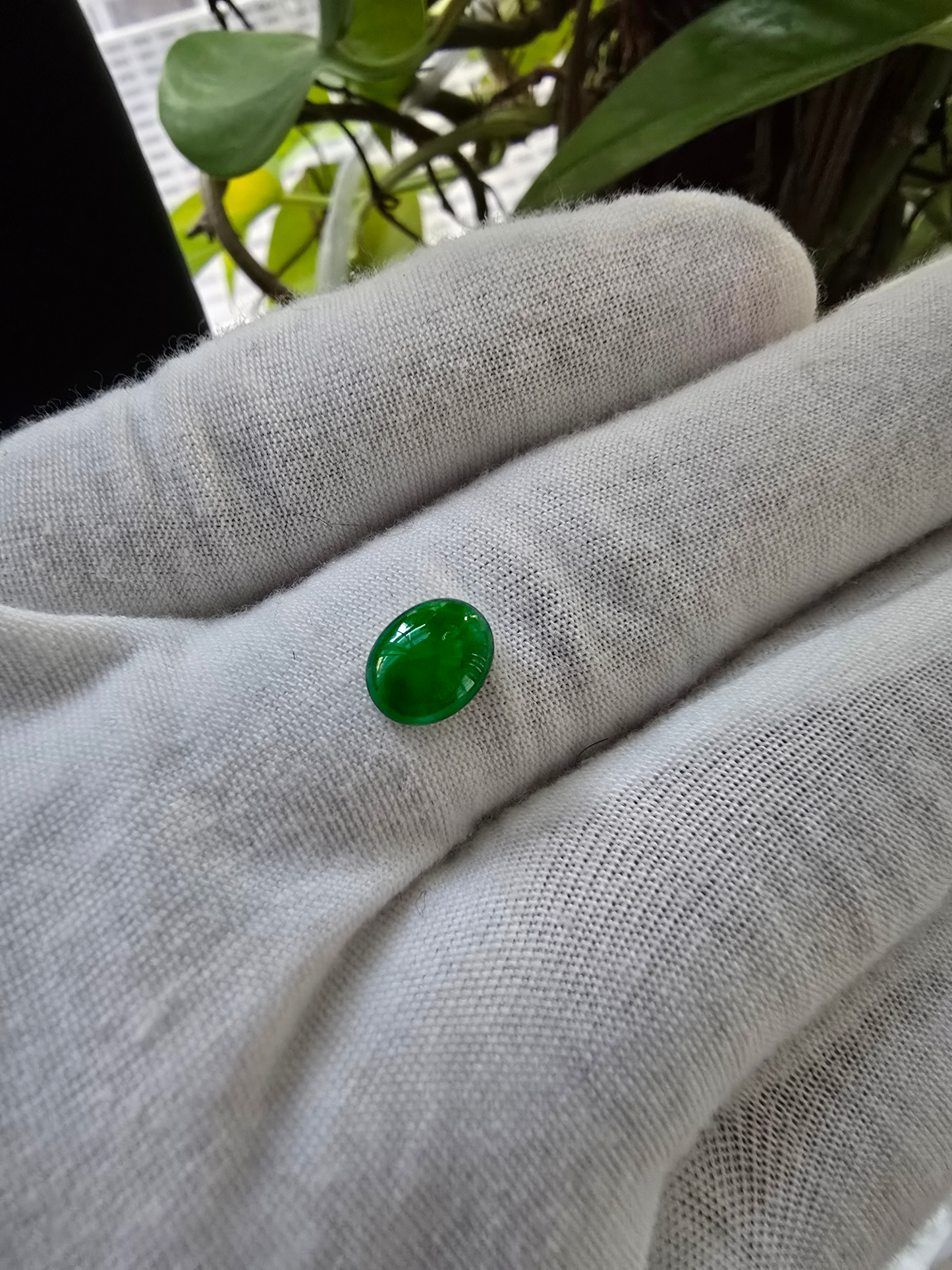 Certified MADE IN JAPAN 1.727 cts. Intense-Vivid Imperial Green Burmese A-Jadeite Oval Cabochon Loose Stone LS9