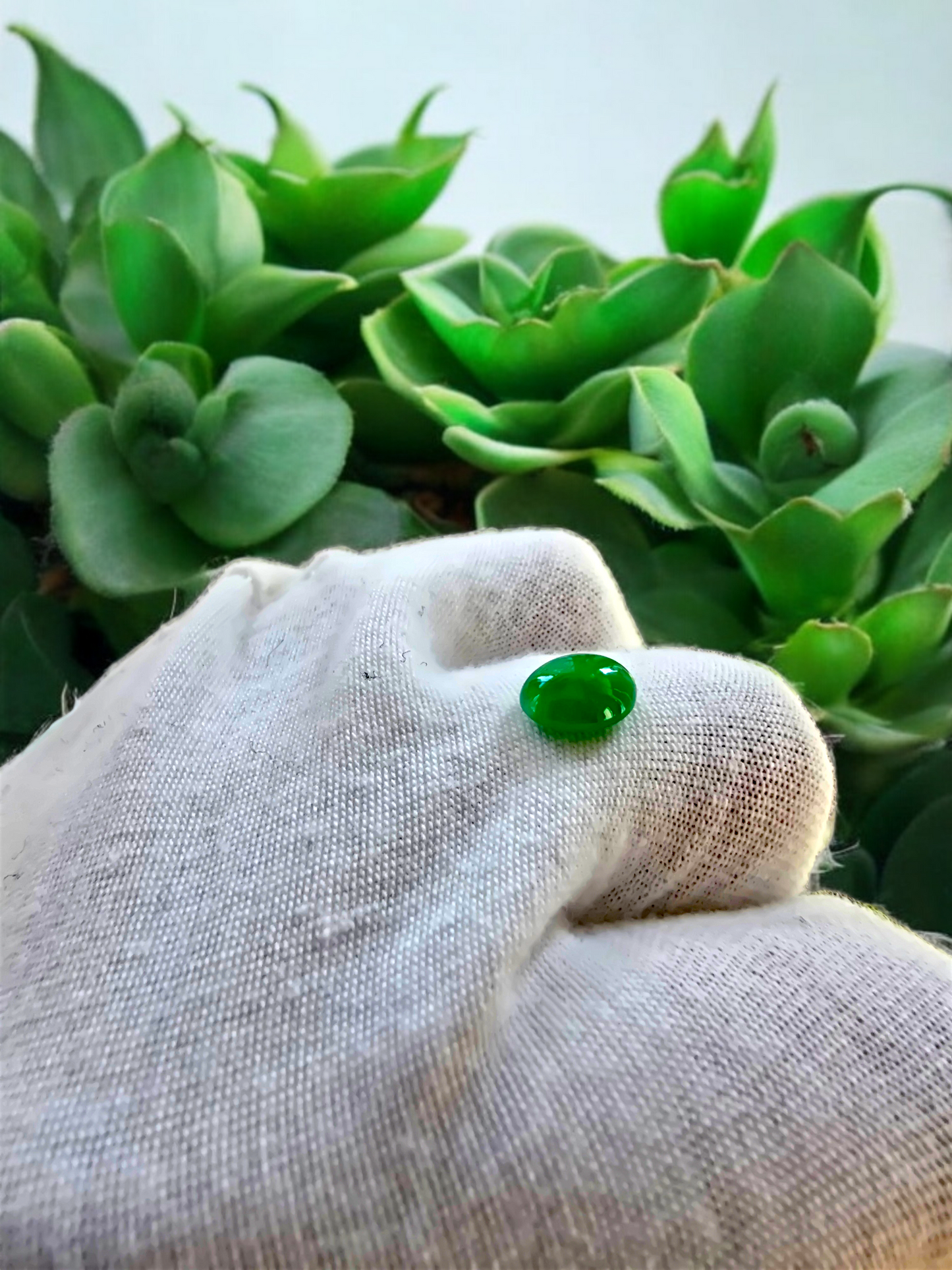 Certified MADE IN JAPAN 2.108 cts. Intense-Vivid Imperial Green Burmese A-Jadeite Oval Cabochon Loose Stone LS10