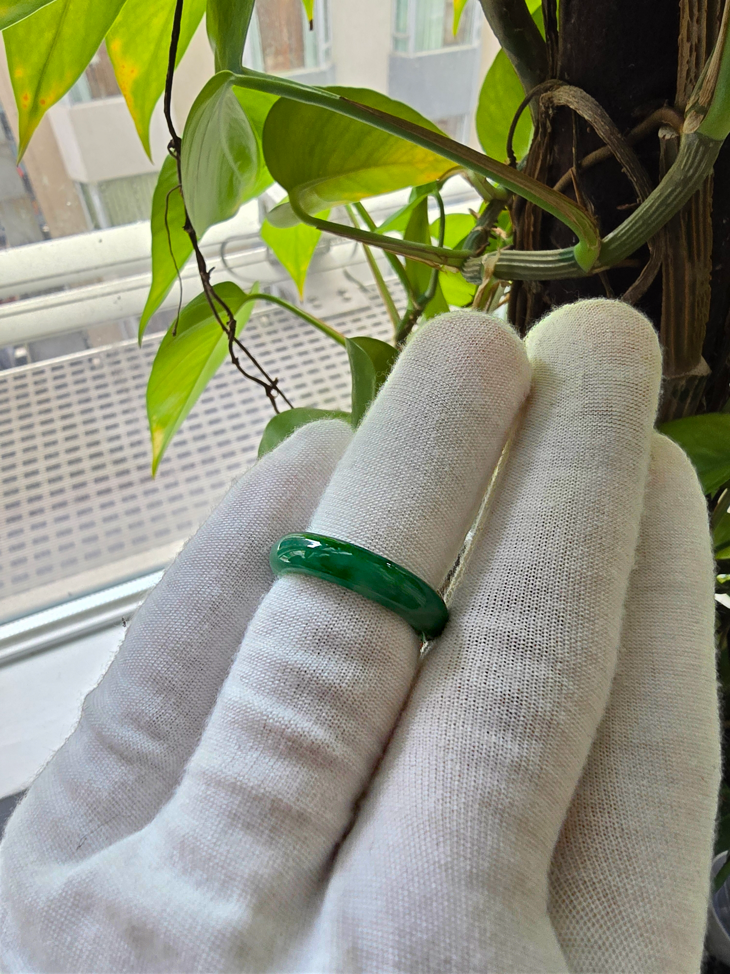 Masters Burmese Vibrant Green A-Jadeite Infinity Band Ring 09007 - Certified