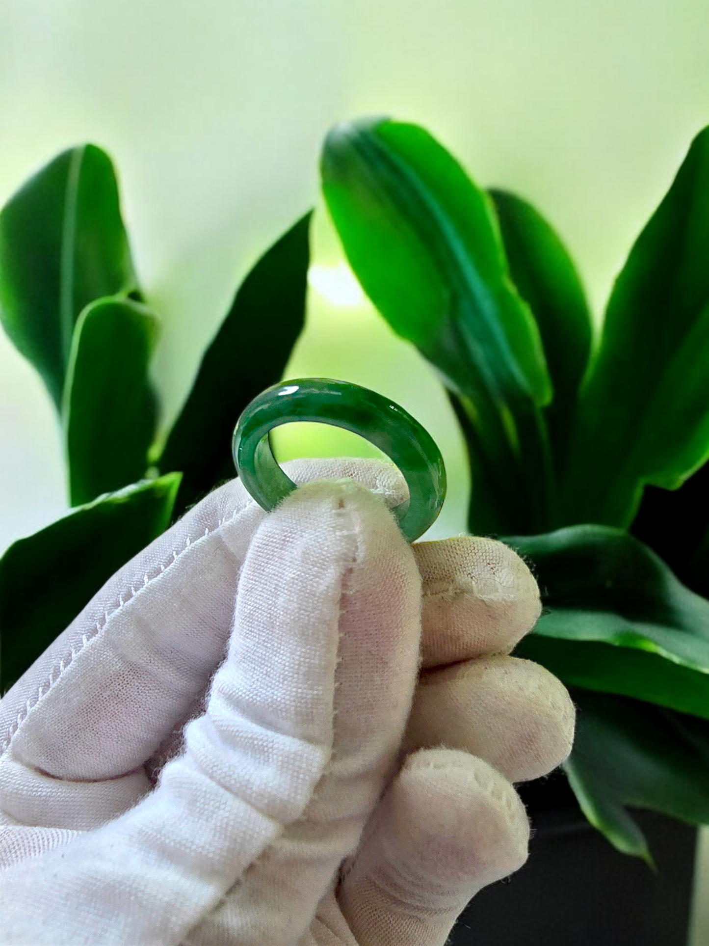 Masters Burmese Vibrant Green A-Jadeite Infinity Band Ring 09007 - Certified