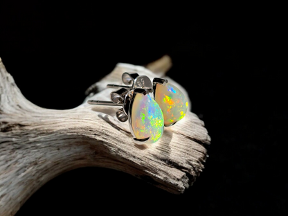 Australian Opal Stud Earrings with 14K White Gold - 3001