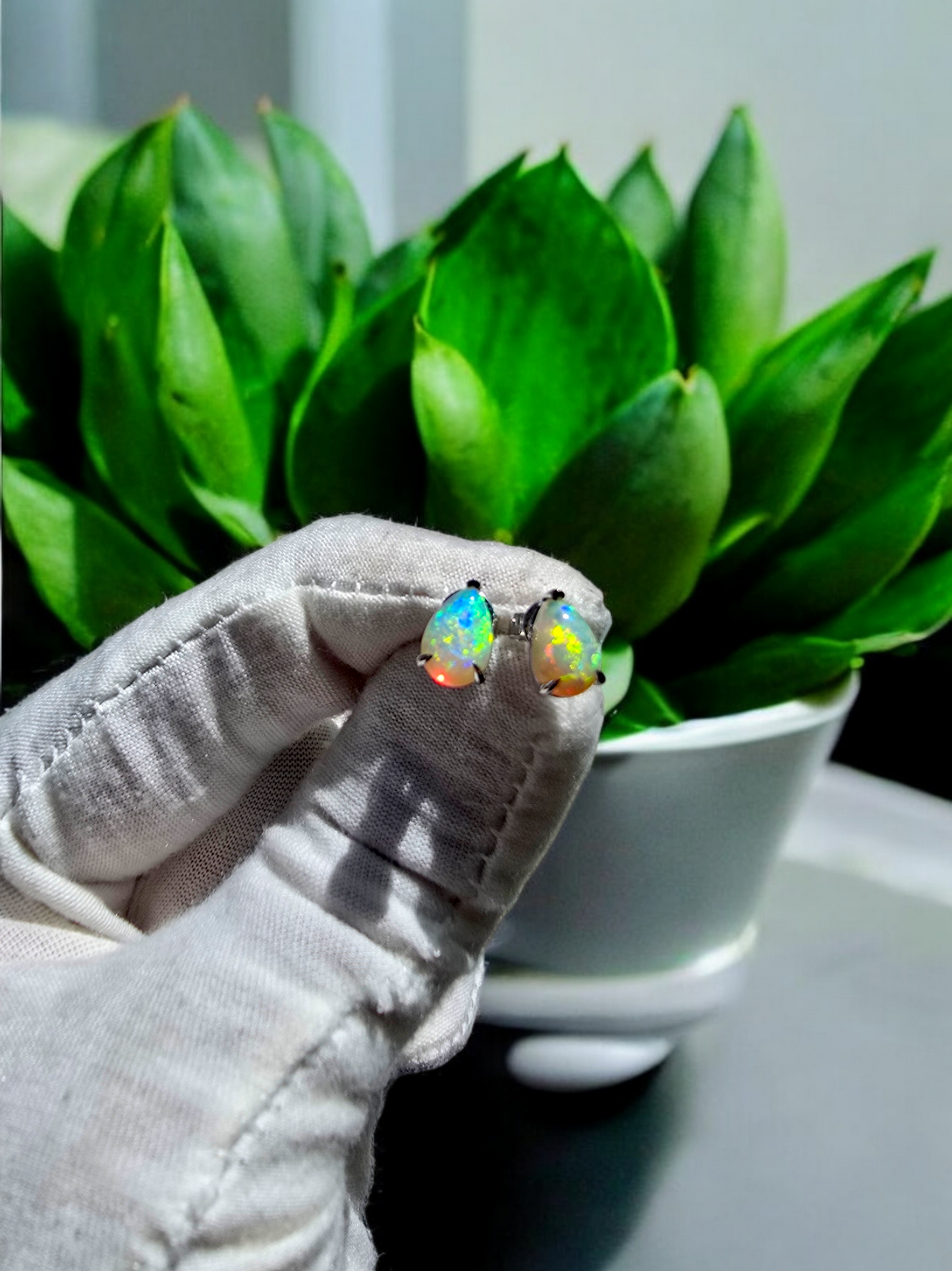 Australian Opal Stud Earrings with 14K White Gold - 3001