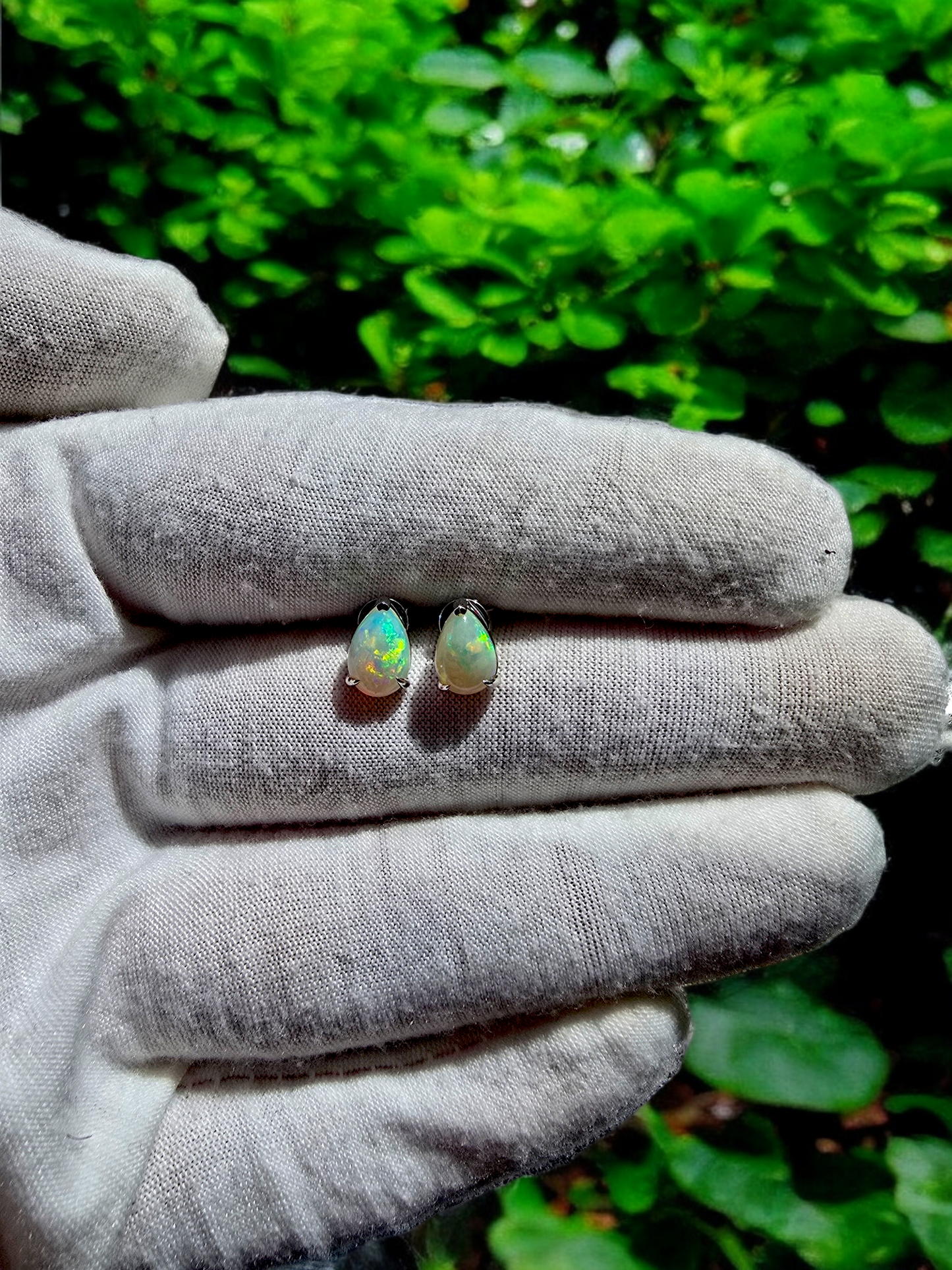 Australian Opal Stud Earrings with 14K White Gold - 3001