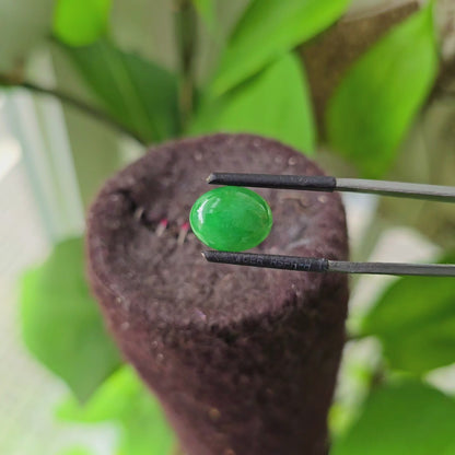 Certified MADE IN JAPAN 4.803 cts. Intense Green Burmese A-Jadeite Oval Cabochon Loose Stone LS7